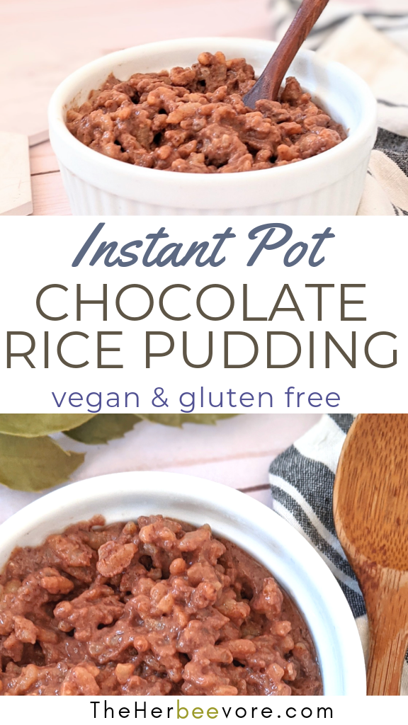 vegan gluten free chocolate rice pudding instant pot pressure cooker desserts with rice arborio rice pudding with cacao powder cinnamon naturally sweetened rice pudding no milk dairy free
