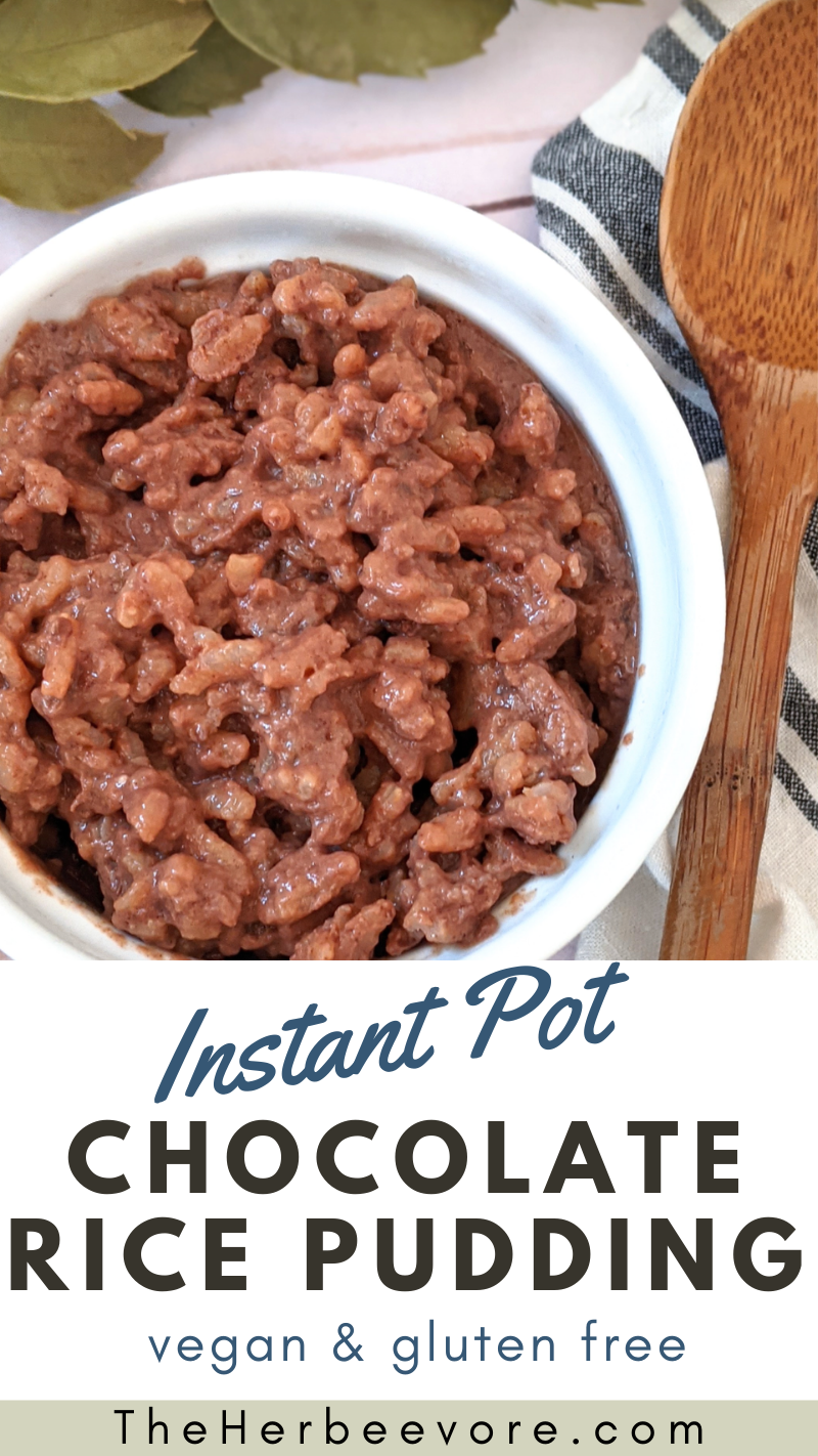 pressure cooker chocolate rice pudding instant pot vegan dessert recipes dairy free rice pudding with chocolate cacao powder agave rice pudding naturally sweetened desserts instant pot healthy desserts no dairy