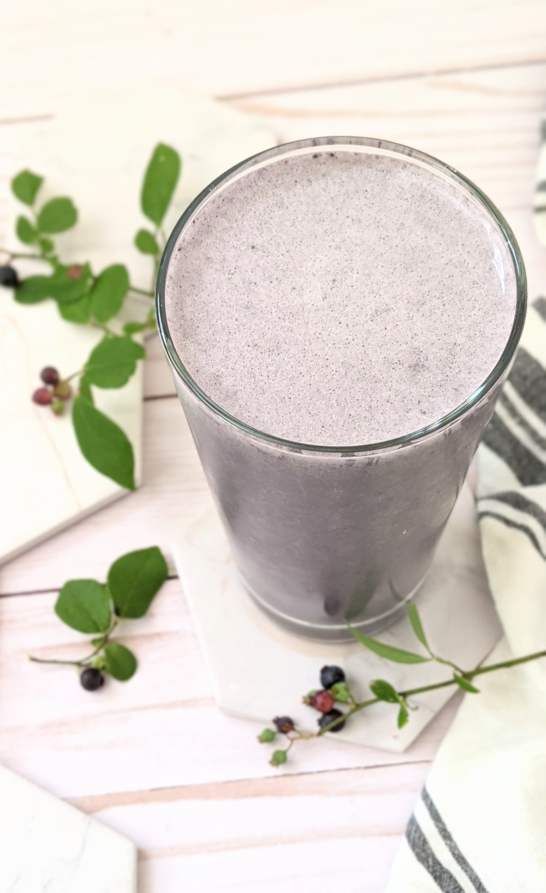 plant based blueberry smoothie with chocolate easy veagn chocolate shake with blueberries healthy antioxidant smoothies with berries and vegan protein sport powder meal replacement shakes for vegans