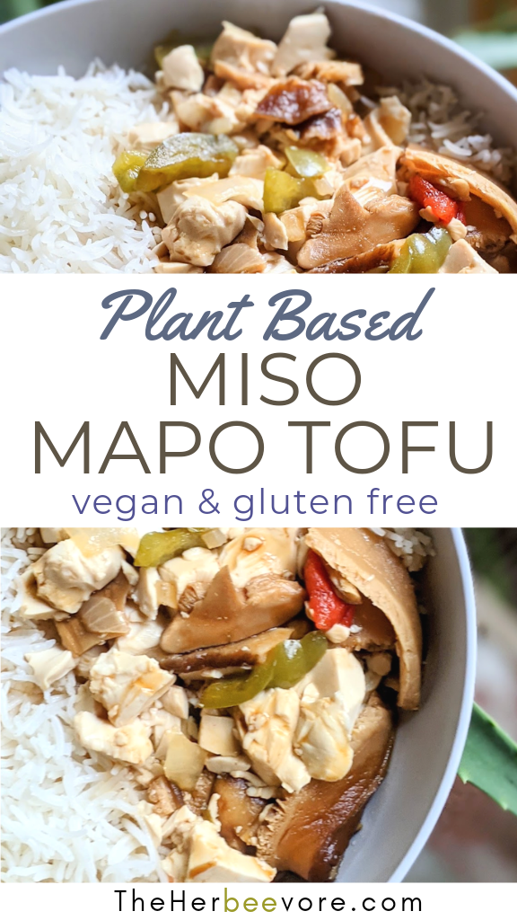 vegan glutne free mapo tofu recipe plant based with miso paste easy 30 minute chinese tofu recipes at home homamade diy chinese food recipes free over rice