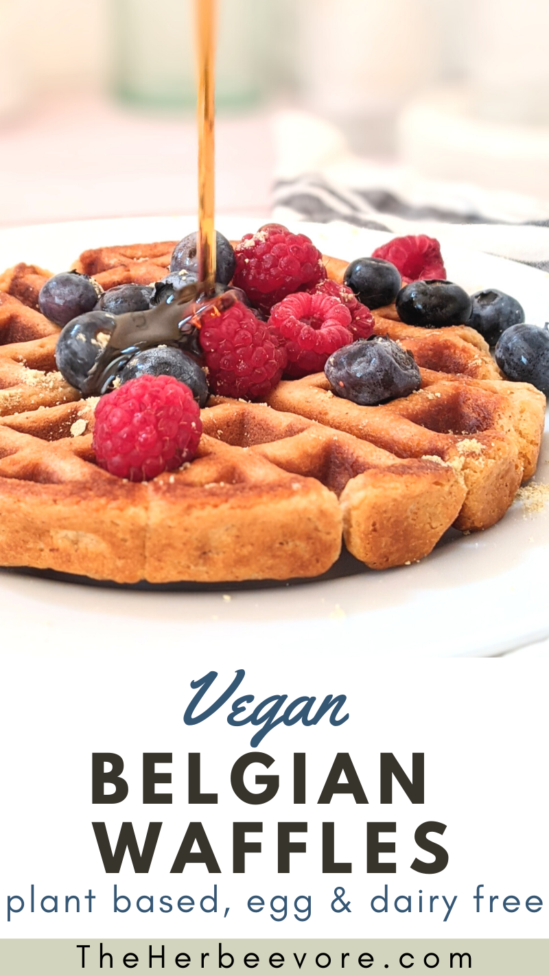 plant based belgian waffles without eggs or without dairy easy sweet cruchy perfect belgian waffles vegan and vegetarian with fruit toppings like berry compote butter powdered sugar and maple syrup