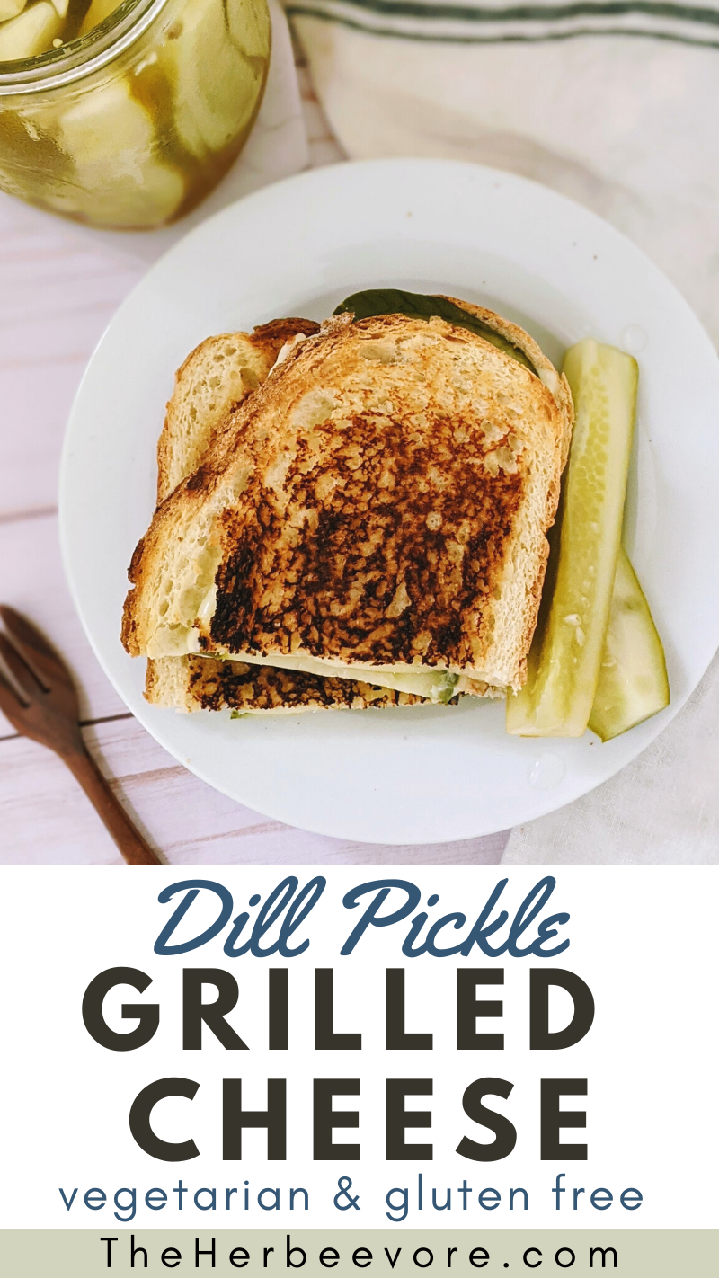 grilled pickle cheese recipe vegetarian plant based meatless lunch or dinner ideas for kids who love pickles recipes for kids and adults dill pickle grilled cheese or sweet pickle grilled cheese