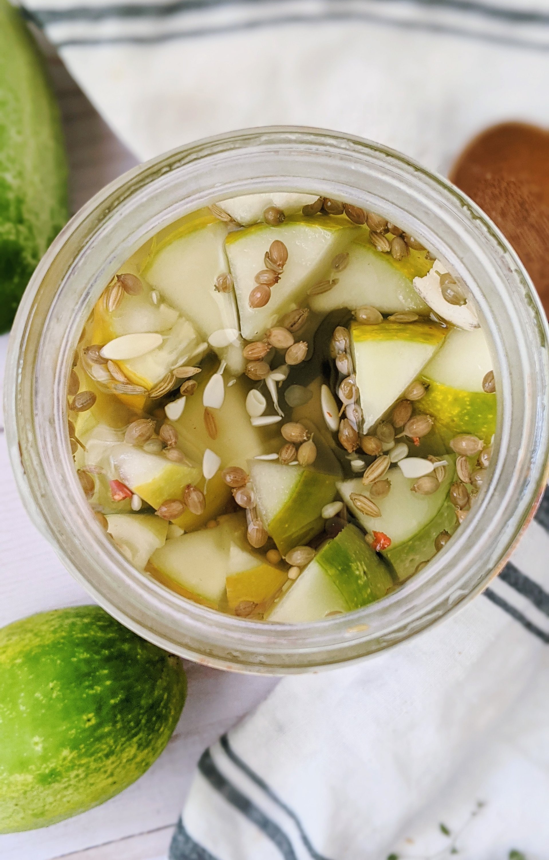 refrigerator garlic pickles with out dill can you make pickles with no dill sour pickles with vinegar and sugar and garlic and spices