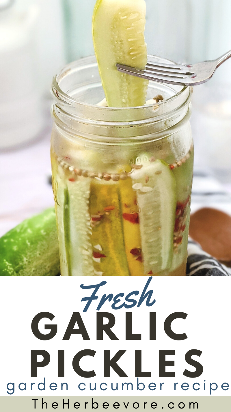 dillless pickles recipe with no dill garlic pickles overnight pickles with garlic and spicy spicy garlic pickles without dill refrigerator garlic pickles