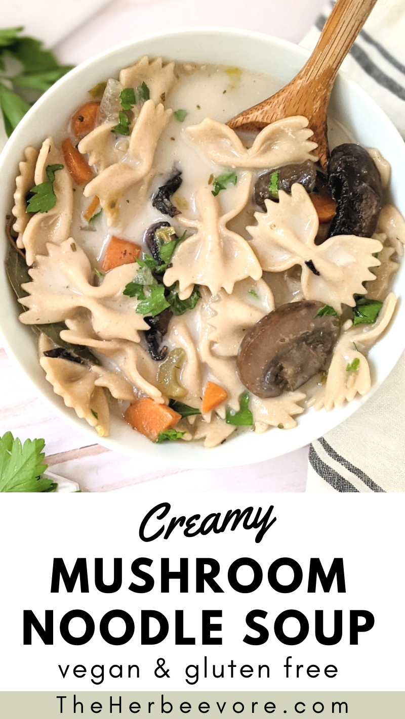 vegetarian mushroom noodle soup recipe mushrooms and pasta in soup recipe mushroom noodle pasta soup farfalle pasta bowtie mushrooms light lunch or dinners dairy free soups with mushrooms