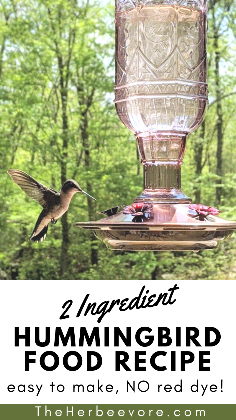 does hummingbird food need to be red recipe without dye hummingbird feed all natural cane sugar mix recipe easy homemade hummingbird food recipe