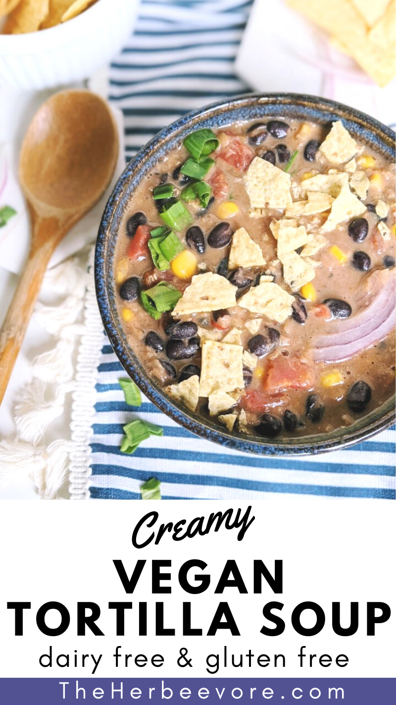 vegan tortilla soup dairy free healthy queso soup recipe high protein silken tofu dip creamy black bean dip soup for entertaining cinco de mayo vegan comfort food recipes spicy bean soup with cheese