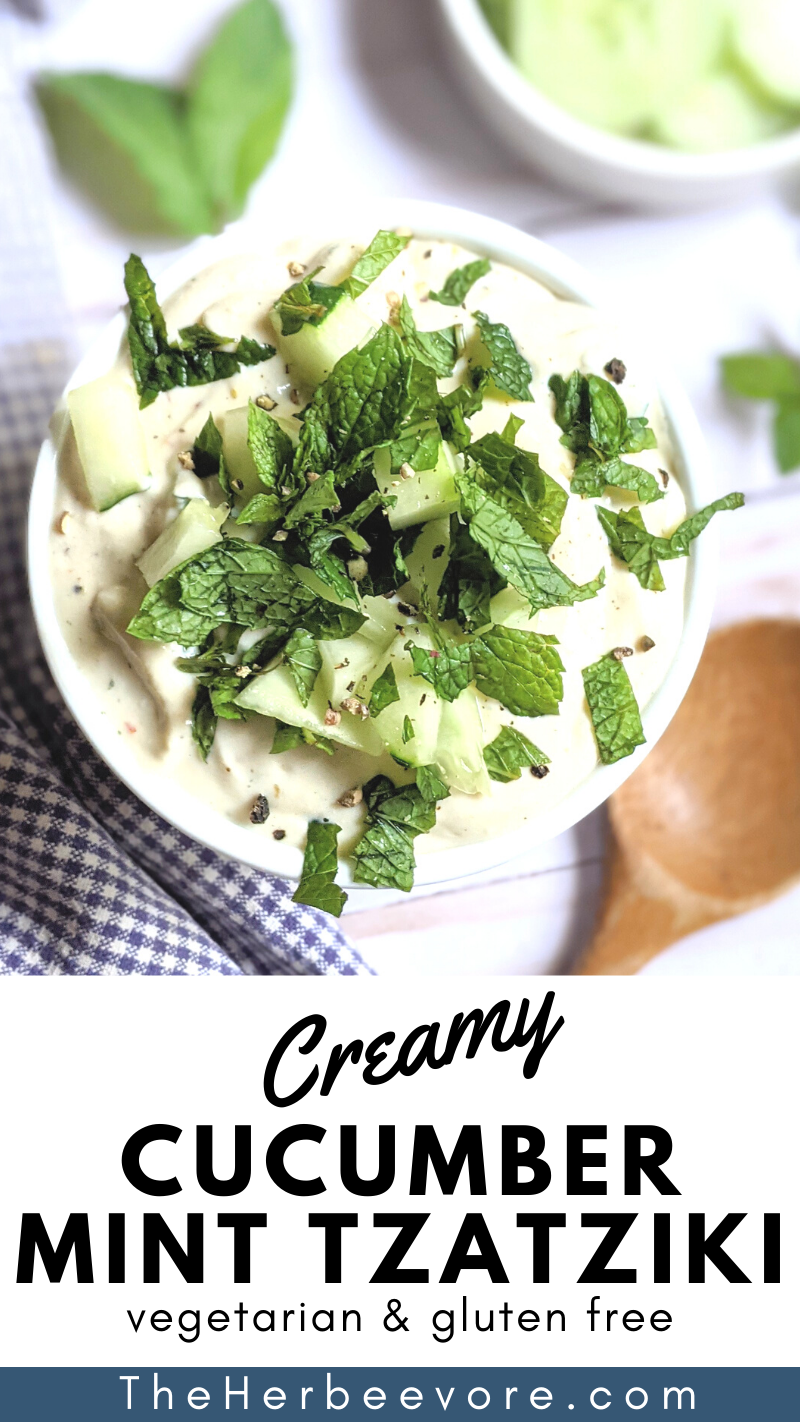 blender mint tzatziki recipe without dill can i make tzatziki sauce with mint instead of dill recipes for non traditional tzatziki with greek yogurt and fresh mint leaves can be vegan and dairy free