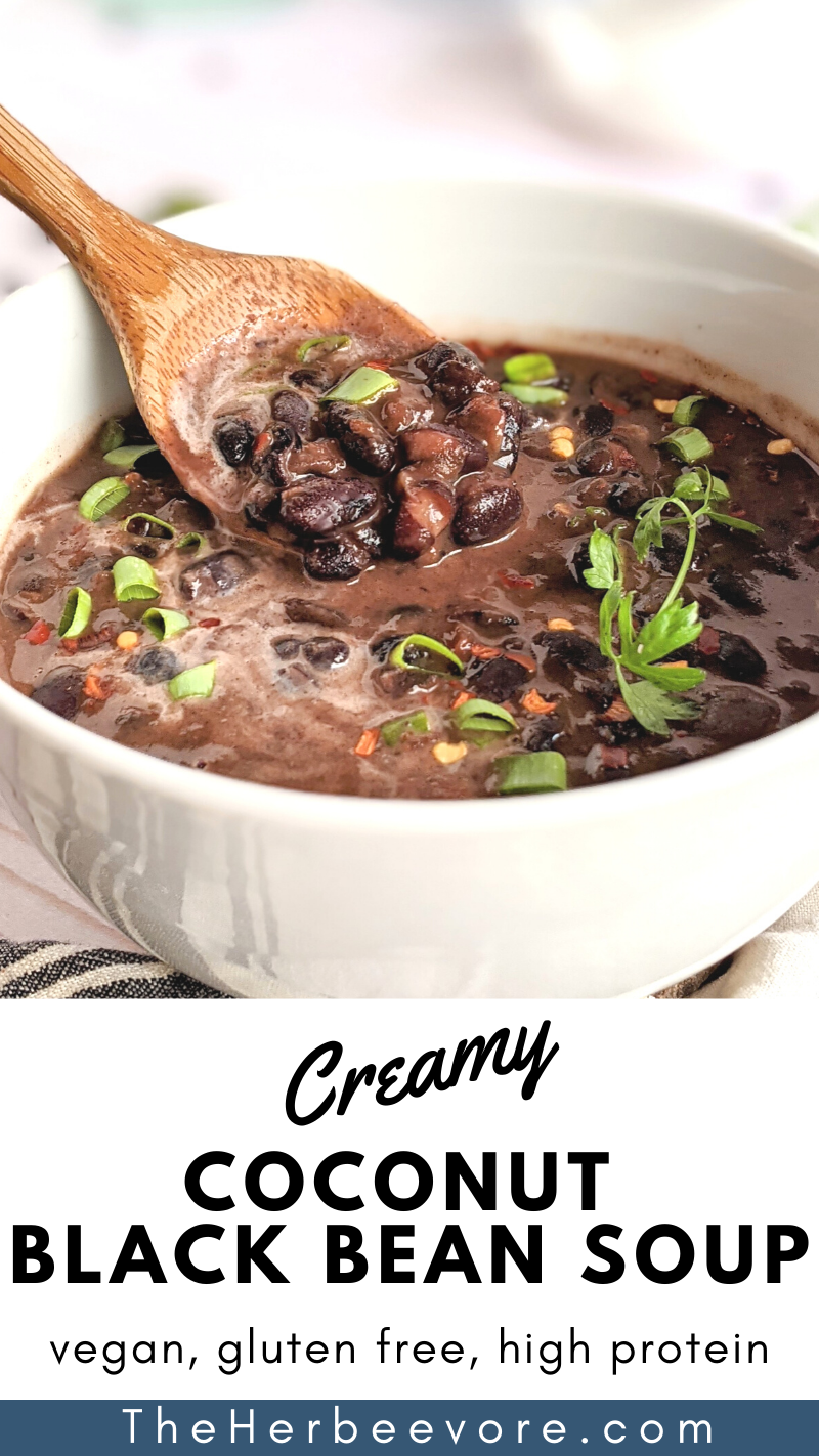 creamy black bean soup vegan gluten free dairy free coconut bean soup recipe black beans and coconut milk recipes healthy soups for fall and winter cold weather soups high protein vegan soups meal prep lunches