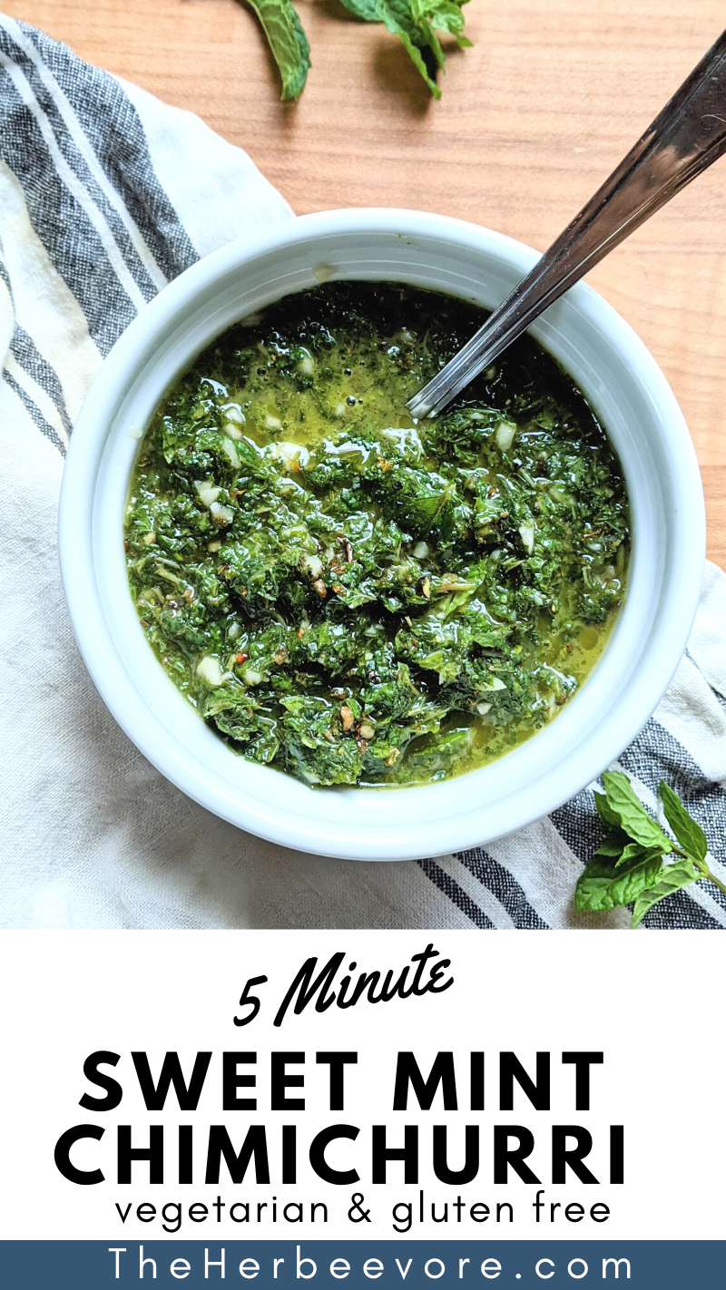 chimichurri recipe with mint sauce for lamb savory mint and garlic sauce for grilled meats fish lambchops steak and pork mint chimichurri in food process make mint jam in blender for lamb steaks and lamb loin