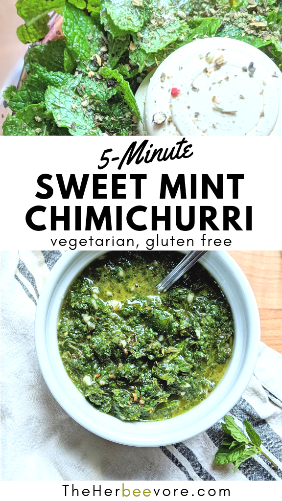 mint chimichurri sauce recipe without parsley sweet mint and garlic sauce for lamb chops and kofta kebabs kefta kebobs kabob sauce mint and lamb sauce