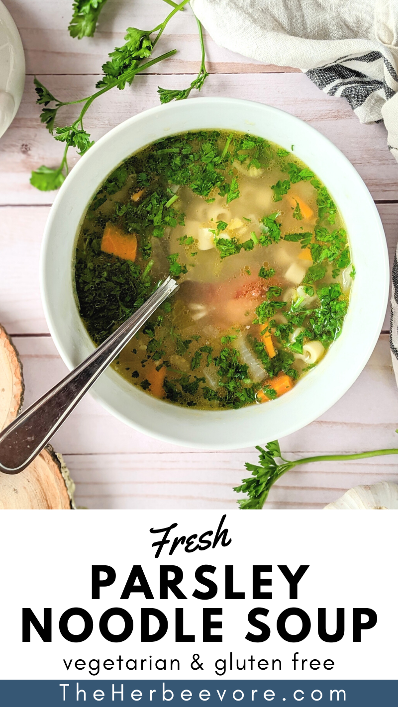 fresh parsley pasta soup recipe with ditalini pasta soup clear vegetable broth with parsley broth for soups parsley stock healthy parsley soups european noodle soup recipes bohemian parsley soup bohemian soup recipes