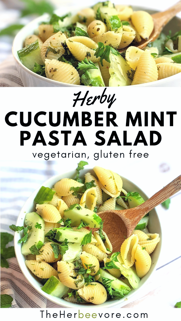 mint cucumber pasta salad recipe healthy mint recipes mint salads with pasta cucumber and mint salad recipe for summer bbq potluck party or gathering
