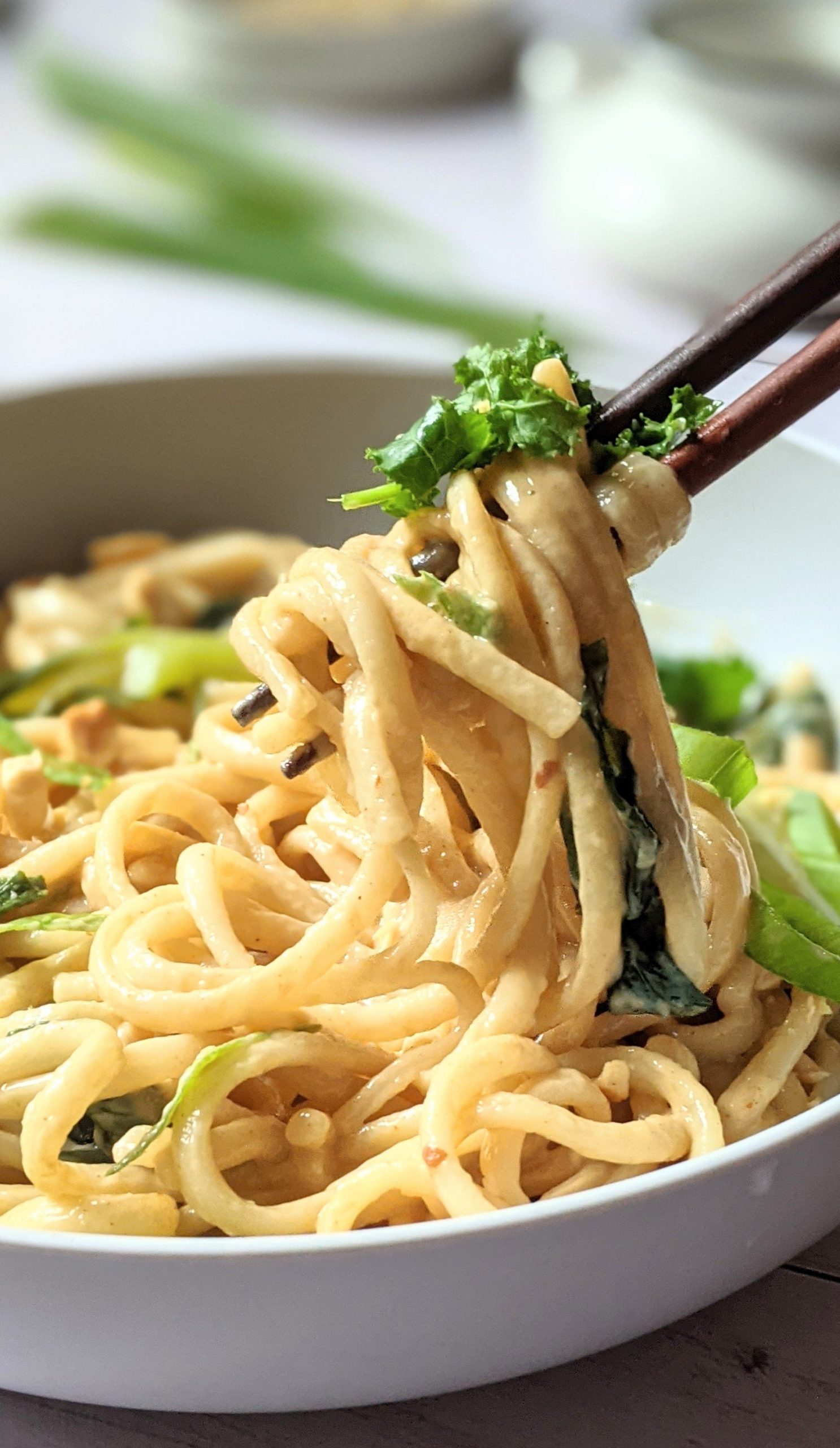 creamy peanut udon noodles with kale bok choy and green onion healthy peanut udon stir fry recipe noodles in peanut sauce thick noods for dinner