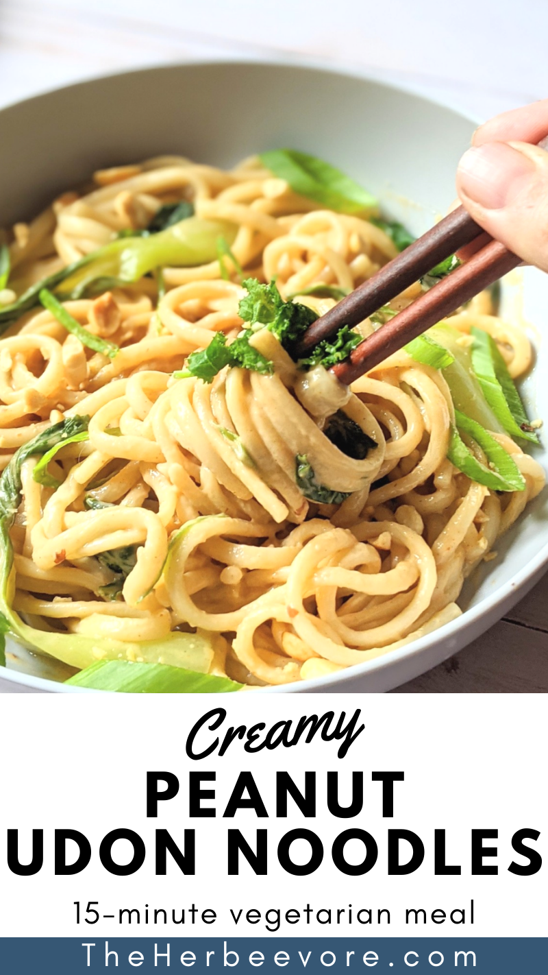 peanut udon stir fry with noodles in a creamy peanut butter sauce with bok choy green onions and kale peanut udon recipe for dinner 15 minute peanut noodles with udon