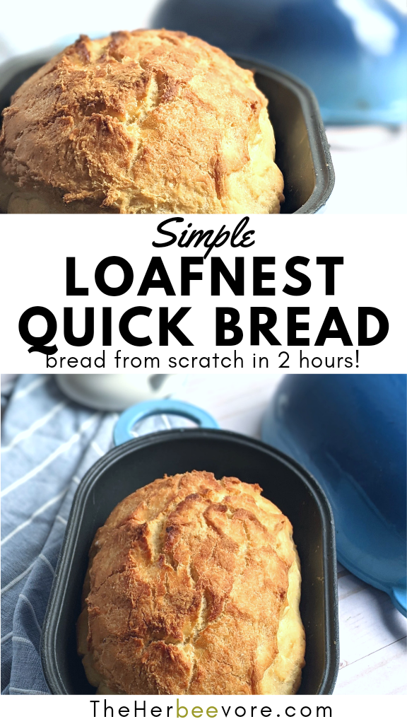 loafnest recipes easy bread in the loafnest pan dutch oven on amazon how to use loafnest with liner