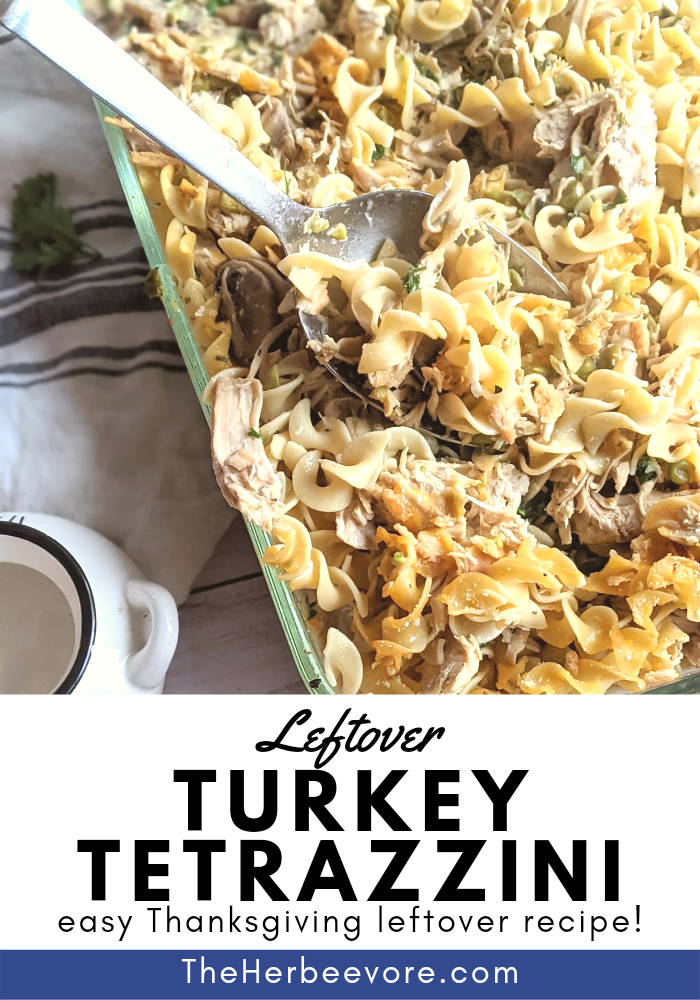 turkey tetrazzini gluten free turkey leftover recipes helthy ways to use cooked turkey breast meat no gluten 