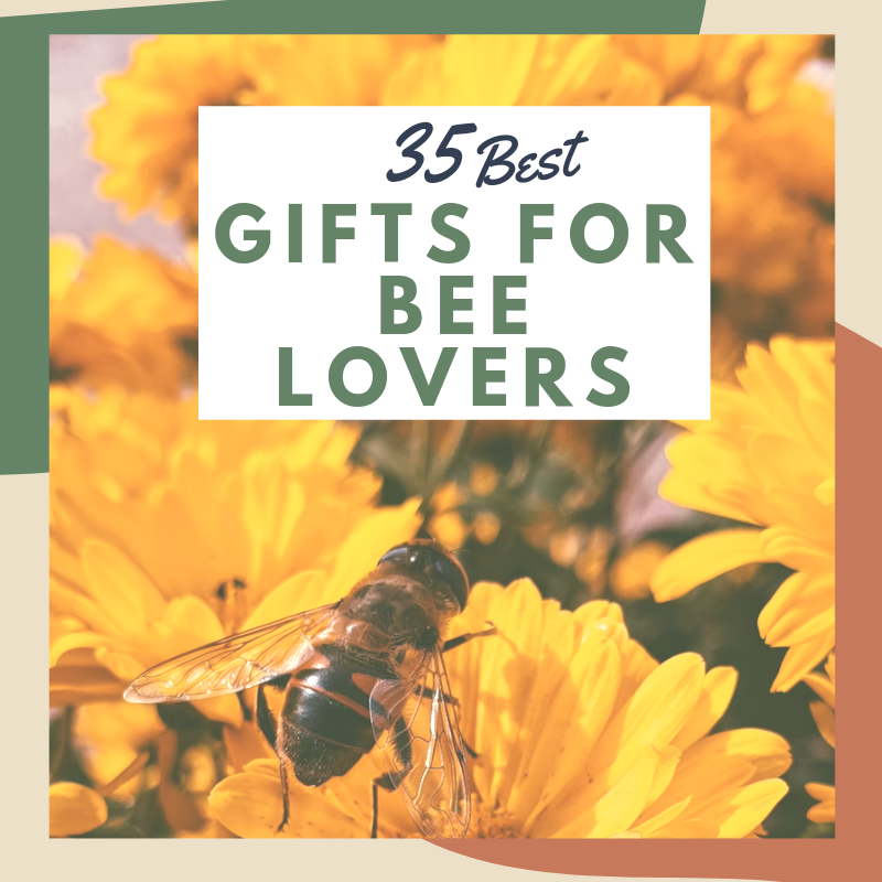 bee gift ideas with bees honeybee gifts bee lovers gift guide what to get for someone who likes bees presents with bees