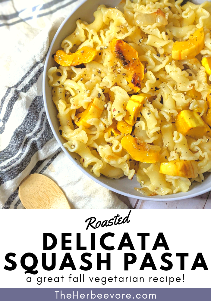 delicata squash recipes with pasta healthy squash noodles fall dinner ideas vegetarian gluten free delicata recipes roasted