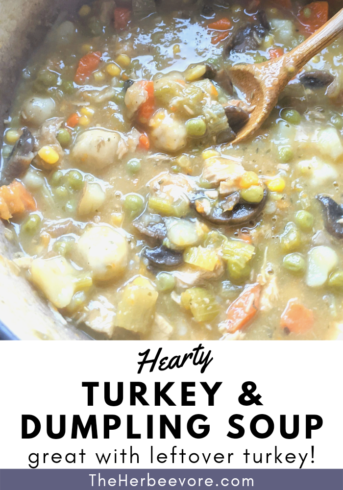 creamy turkey dumplings soup recipe without dairy free turkey and dumplings with thanksgiving leftovers