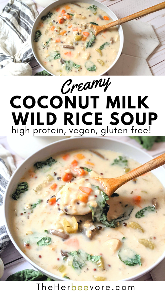 coconut milk wild rice soup recipe dairy free creamy soups with rice healthy coconut milk soups