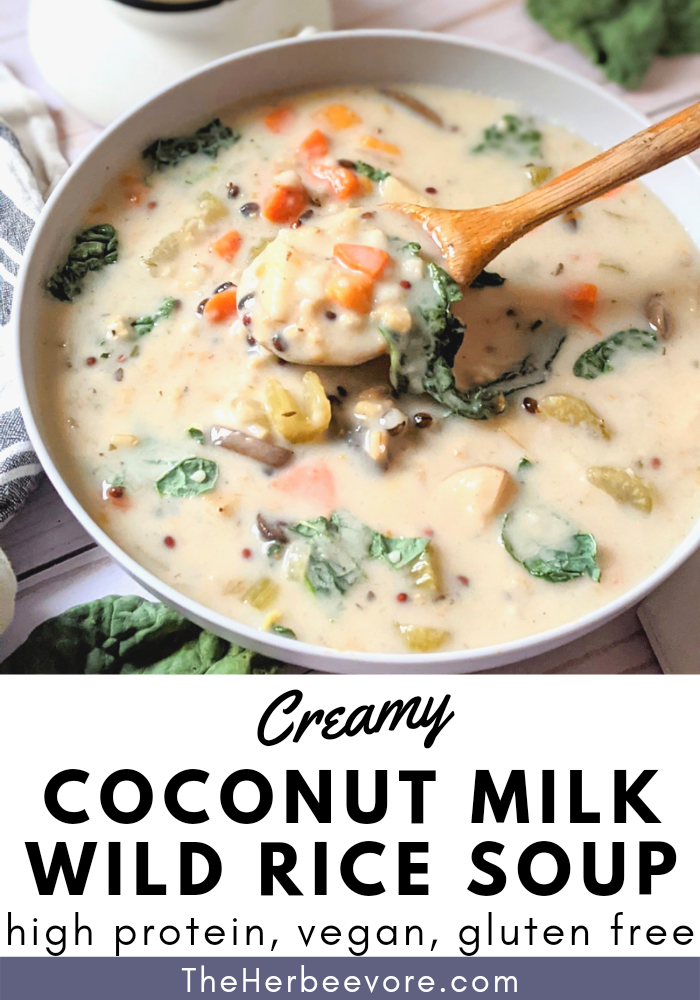 cream of wild rice soup dairy free gluten free vegan vegetarian plant based coconut milk rice soup recipe