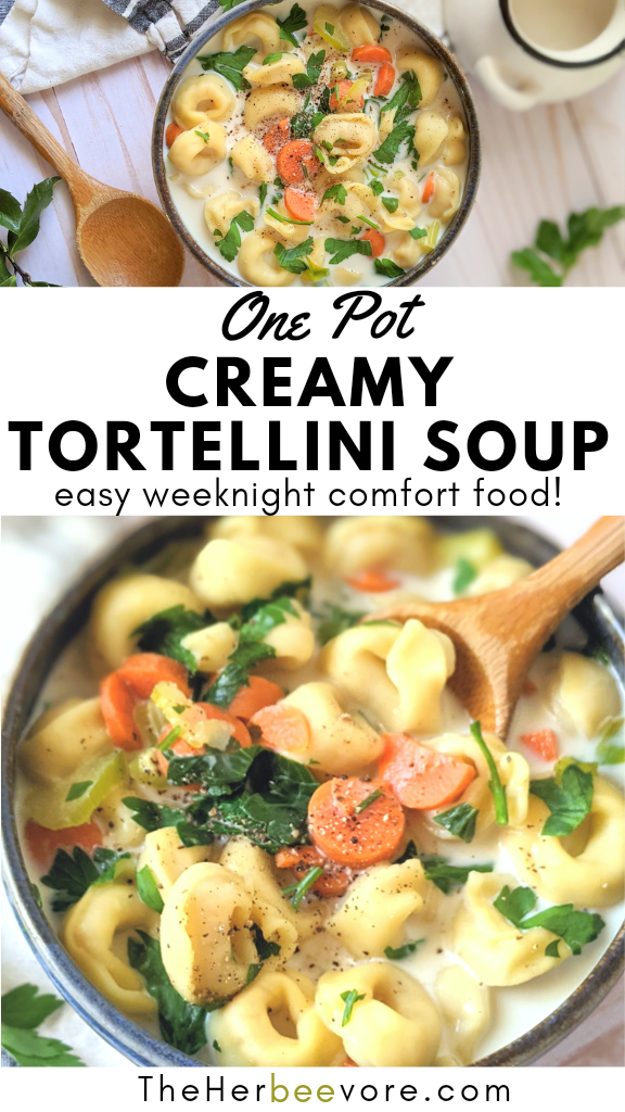 one pot tortellini soup recipe vegetarian tortellini recipes with dried tortellini easy homemade soups for winter