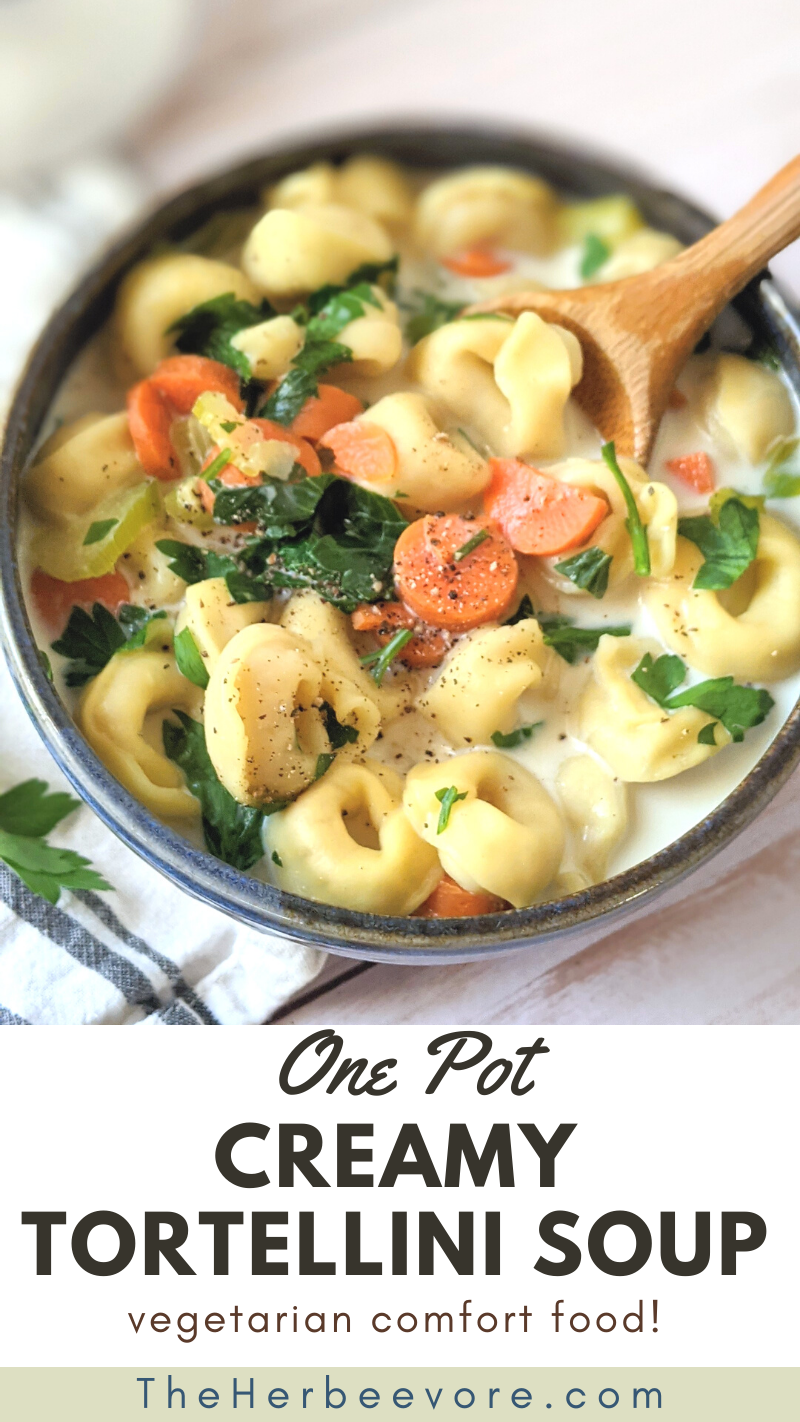 vegetarian tortellini soup creamy recipes one pot tortellini recipes for dinner lunch or soups