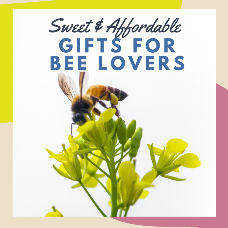 Bee Themed Gifts-That are Truly Buzz Worthy - Carolina Honeybees