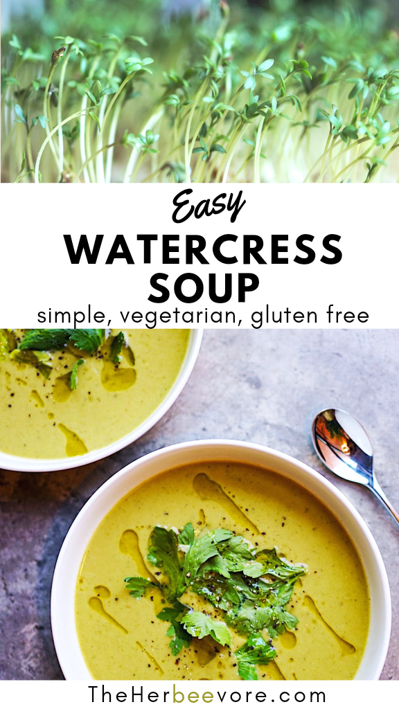 soup with watercress recipes vegan or vegetarian watercress soups healthy ways to eat watercress what to make with watercress recipes for spring