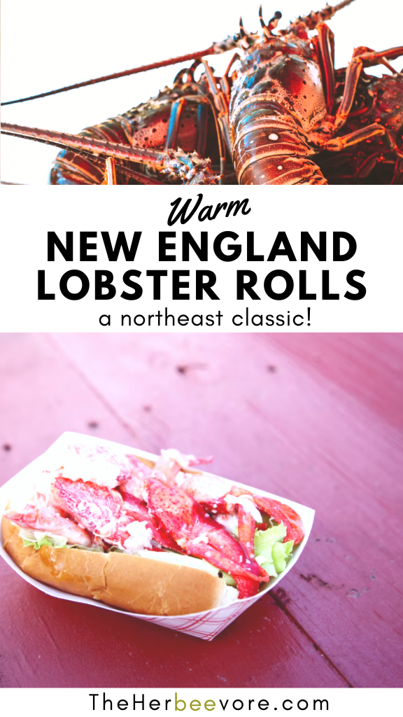 gluten free lobster rolls recipe warm hot new england lobster rolls served warm with butter mayo garlic and celery lettuce on gluten free buns