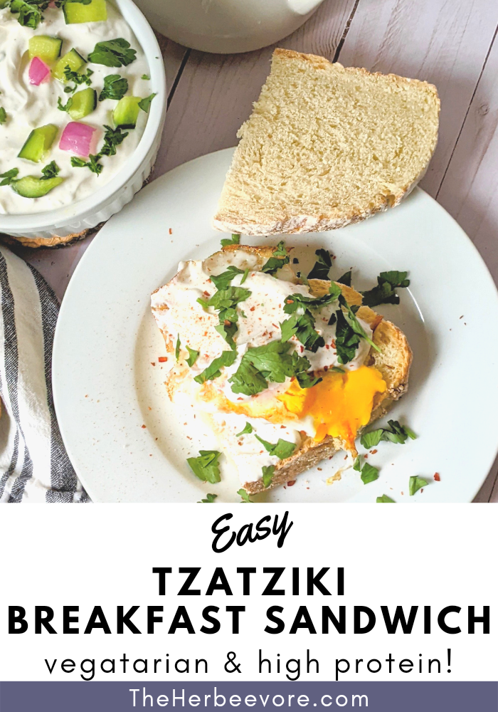 tzatziki egg sandwich recipe with tzatziki cucumber yogurt breakfast sandwich savory tzatziki dill brunch recipes creamy greek breakfast sandwich with eggs and dill garlic sauce