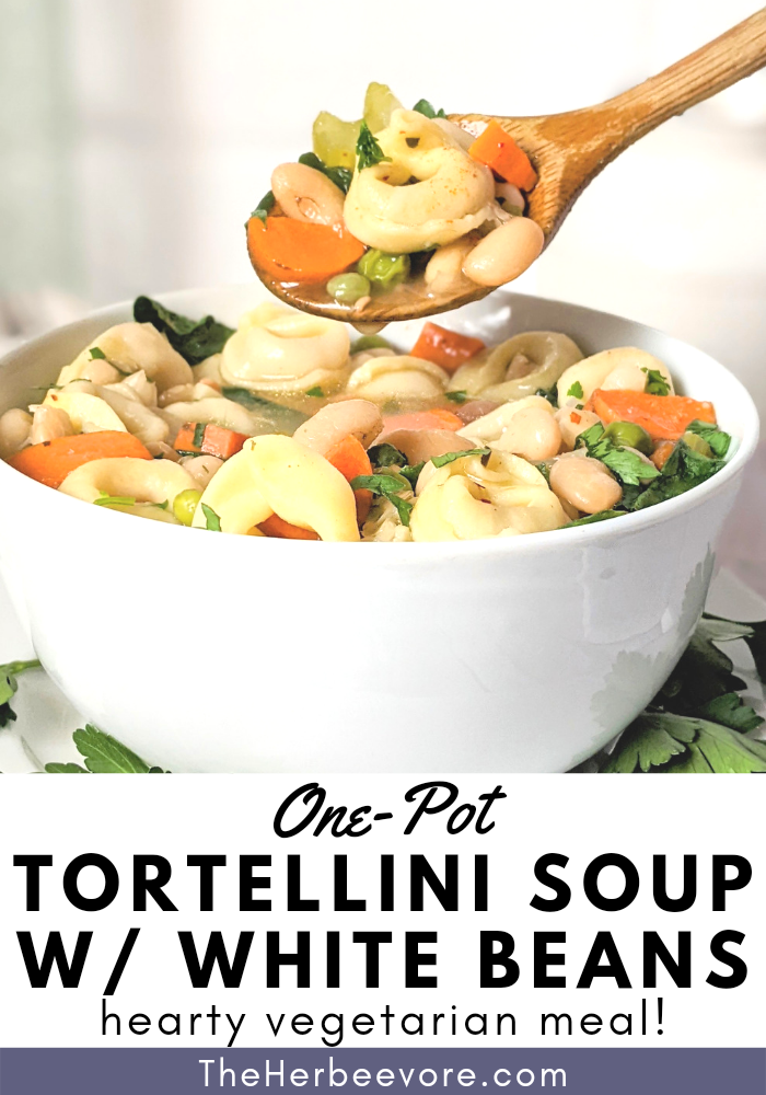 bean and tortellini soup without meat hearty soups for winter spring fall navy bean soup with tortellini pasta carrots onion parsley and herbs de provance soup recipes