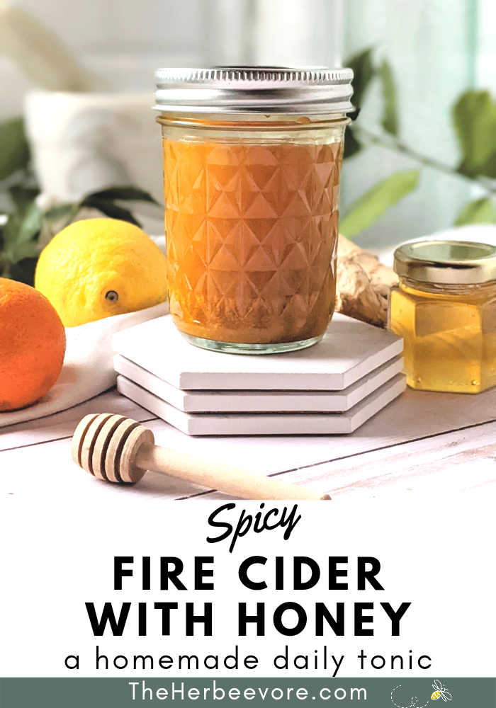 honey tonic spiced apple cider vinegar remedy how to make fire cider at home vegetarian gluten free