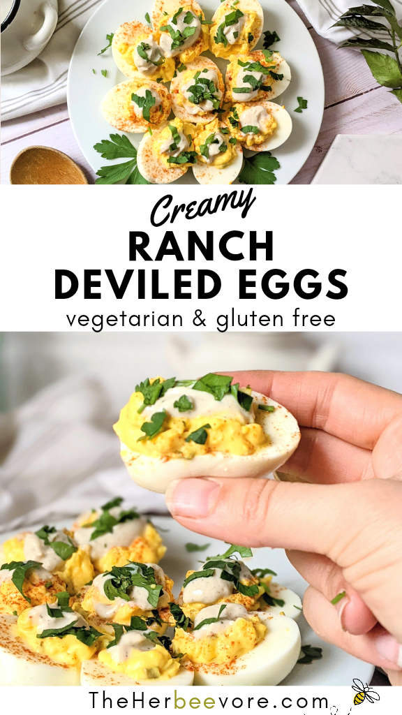 deviled eggs with ranch dressing no mayo recipe for appetizer eggs and ranch bites gluten free vegetarian