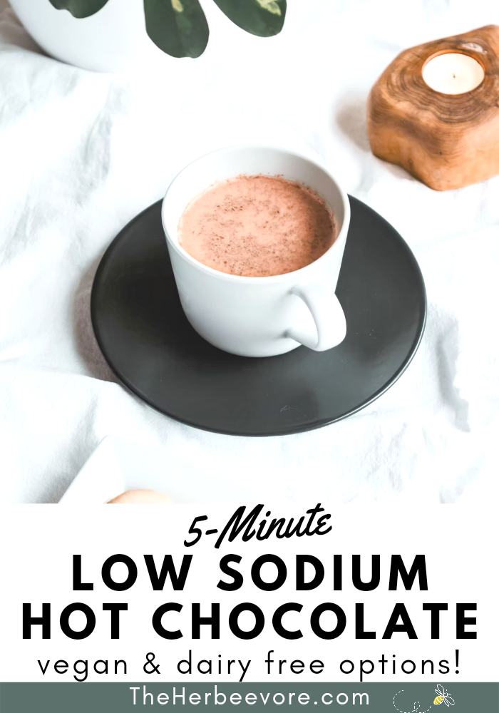 creamy no salt hot chocolate recipes without sodium hot chocolate with almond milk cacao powder cinnamon vanilla and agave nectar
