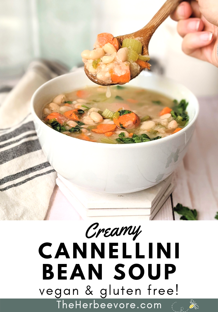 vegetarian cannellini bean soup recipe with carrots onions celery parsley herbs de provence salt and pepper