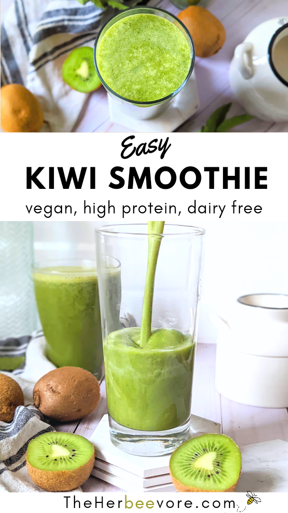 kiwifruit smoothie recipe vegan dairy free gluten free high protein kiwi smoothie recipe vegetarian breakfasts in blender healthy recipes for vegans kiwi shake recipe