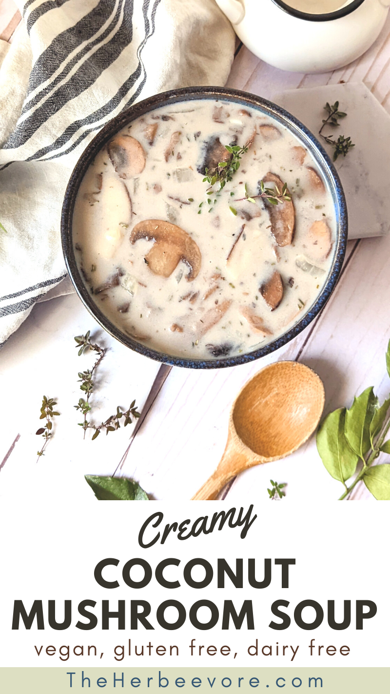 non dairy cream of mushroom soup recipe with coconut milk cream of mushroom vegan gluten free healthy no dairy! meatless ingredients to use in casseroles