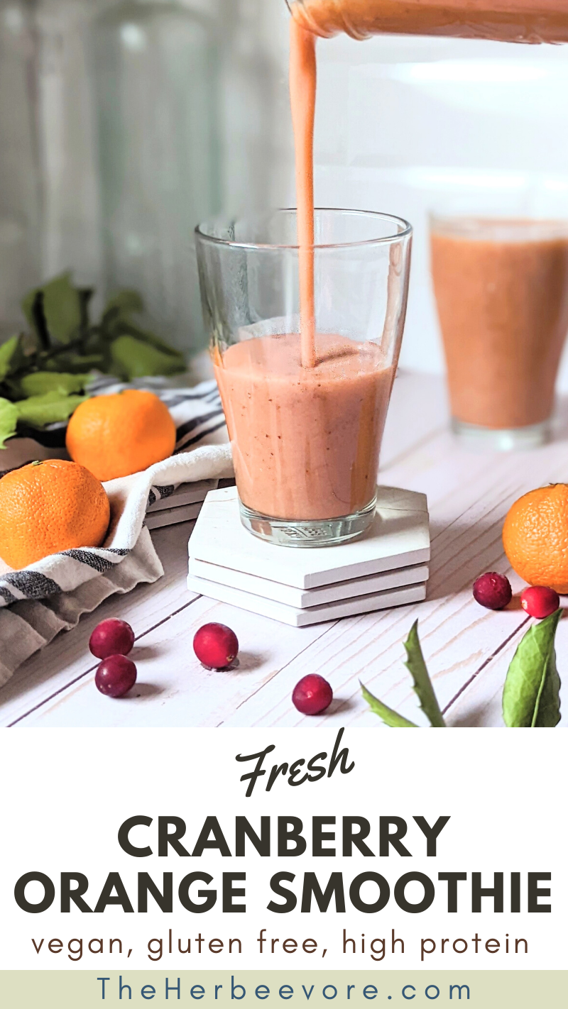 high protein orange juice recipes with protein powder shakes with berries healthy breakfasts with oranges and berries vegan high fiber gluten free
