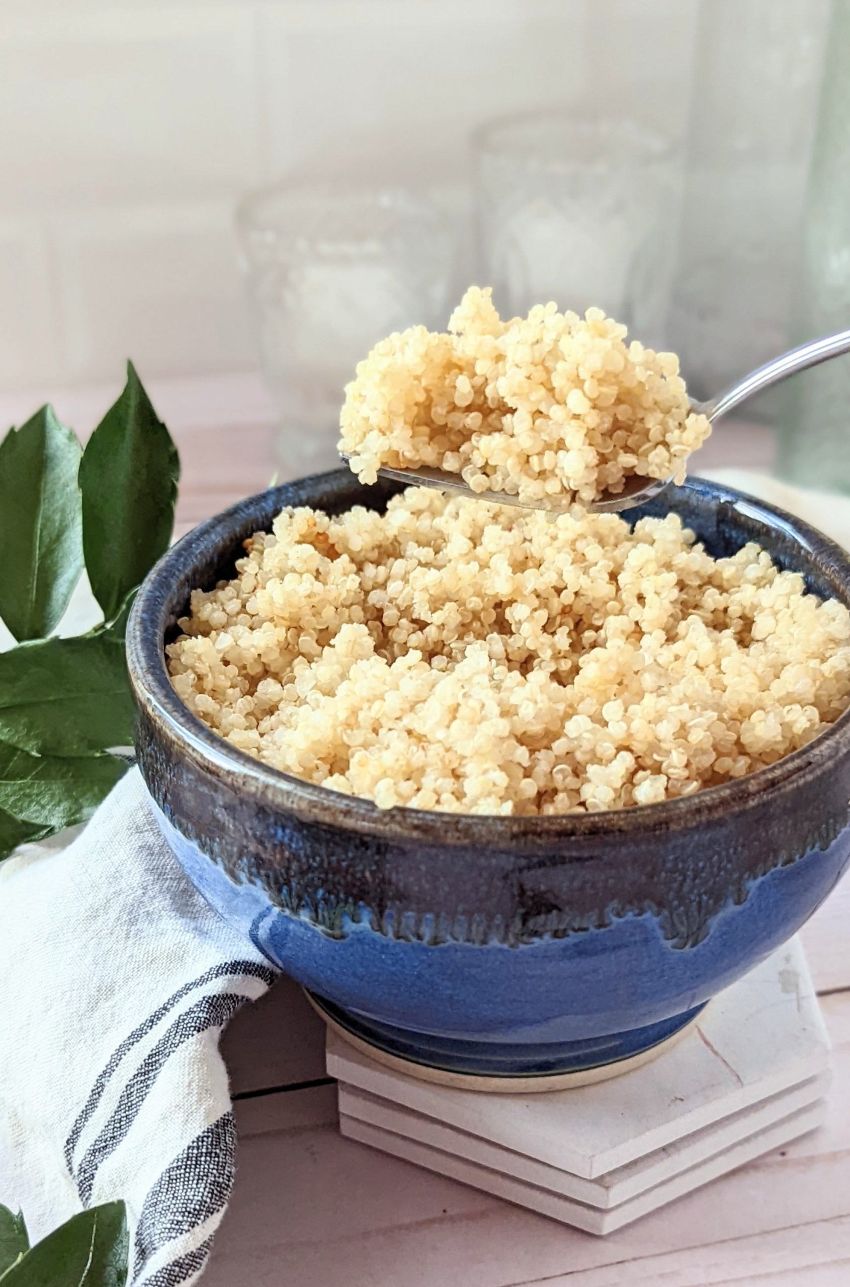 steamed quinoa recipe in the rice cooker vegan perfect quinoa in the rice cooker everytime how to make fluffy quinoa the fluffiest quinoa recipe