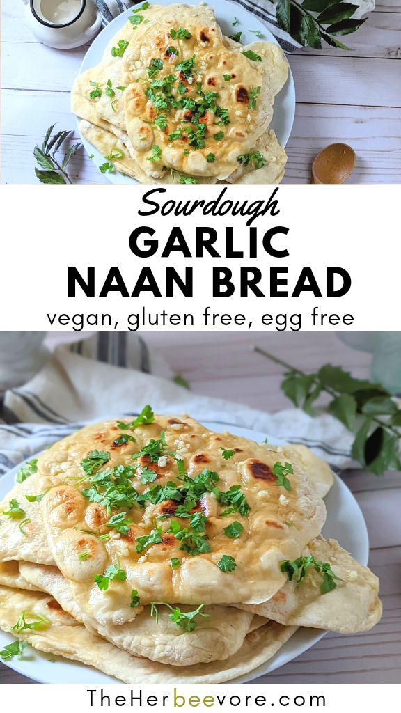 vegan sourdough naan recipe healthy vegetarian meatless dairy free egg free sourdough discard naan recipe healthy gluten free