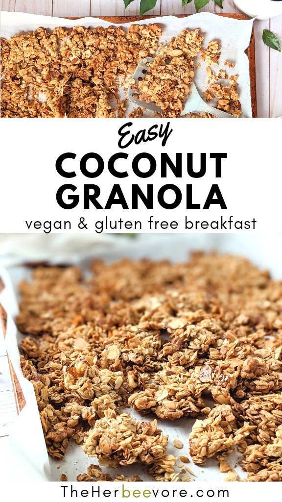 coconut granola recipe vegan gluten free high fiber granola recipes with coconut flakes unsweetened no sugar coconut granola recipe healthy
