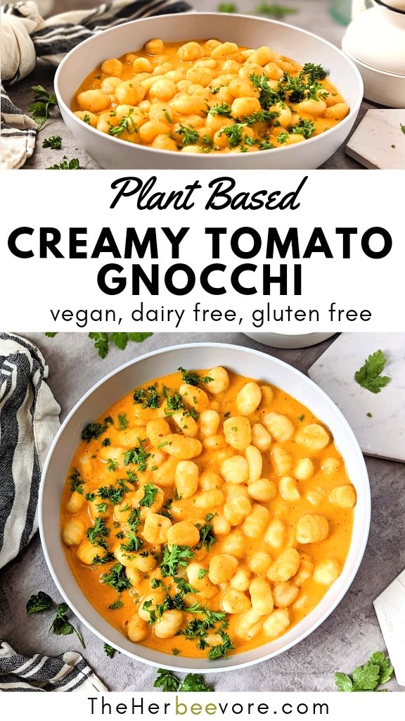 vegan gnocchi recipe dairy free eggless gnocchi recipes with plant based tomato cream sauce gnocchi healthy gnocchi recipes for dinner no meat