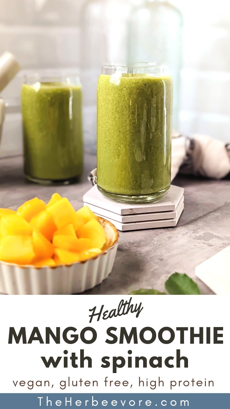 dairy free green smoothie recipes without yogurt no milk smoothies without dairy vegan smoothies with protein powder mango spinach shake recipes