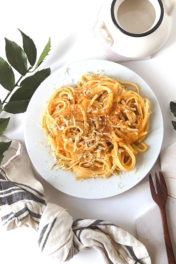 vegetarian squash pasta recipe squash pasta sauce for spaghetti penne rigatoni macaroni or fusili