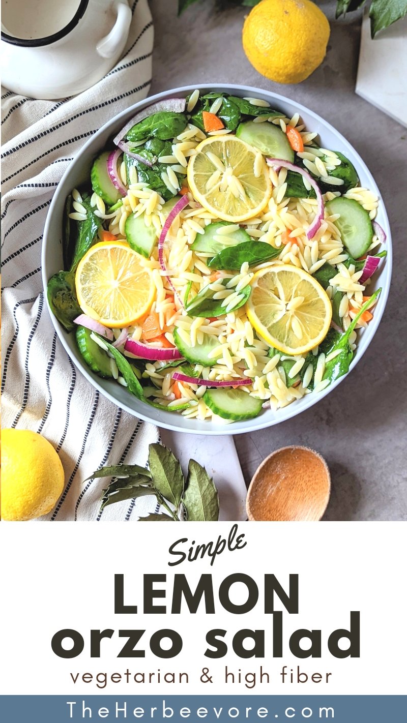 lemon dill pasta salad recipe with orzo and spinach lunch recipes healthy plant based salads for lunch easy vegan meal prep.