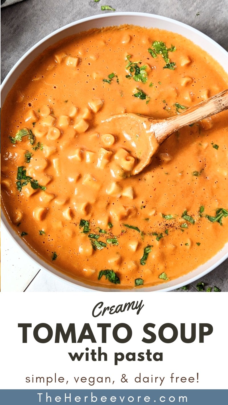 tomato noodle soup recipe healthy dairy free vegan tomato soup recipes with cashews and pasta vegetarian gluten free options.