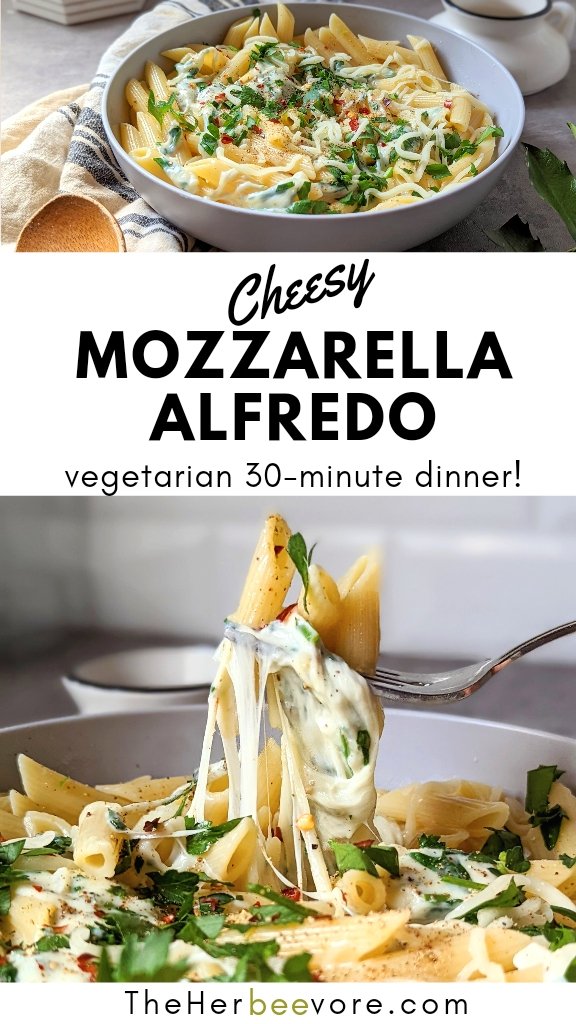 alfredo without parmesan cheese mozzarella alfredo pasta sauce recipe vegetarian mozzarella sauce with spaghetti or penne alfredo