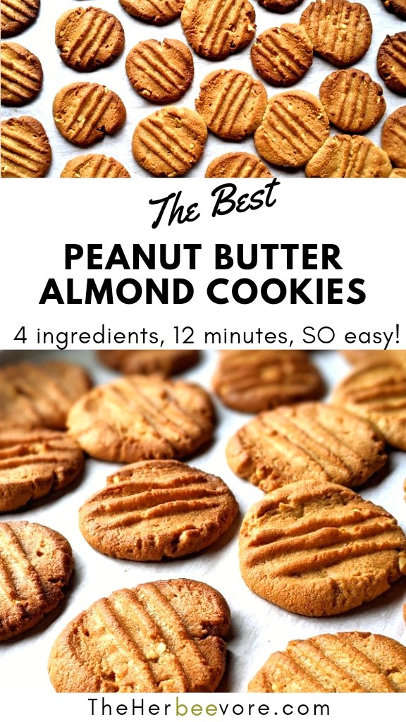 almond flour peanut butter cookies recipe with almond meal healthy gluten free dairy free peanut butter cookies recipe
